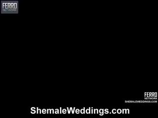 Eduardo Starring In glorious Mix movs Of Shemale Weddings